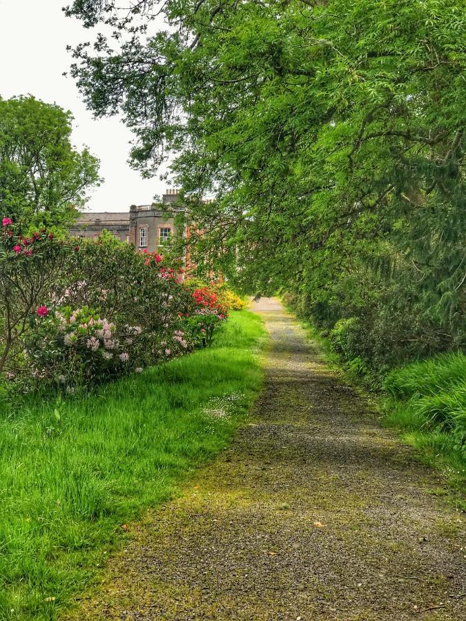 Niblick Bed & Breakfast Bantry Dış mekan fotoğraf