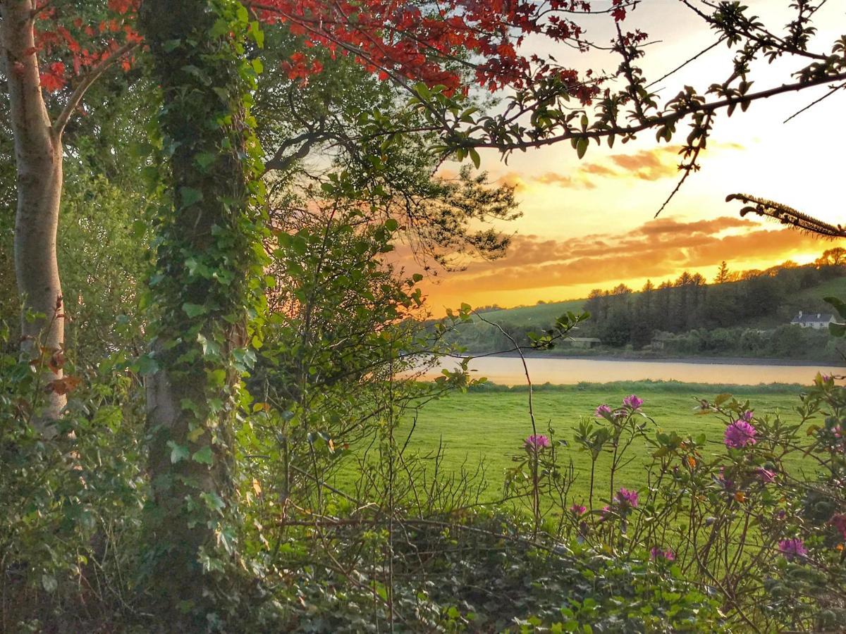 Niblick Bed & Breakfast Bantry Dış mekan fotoğraf