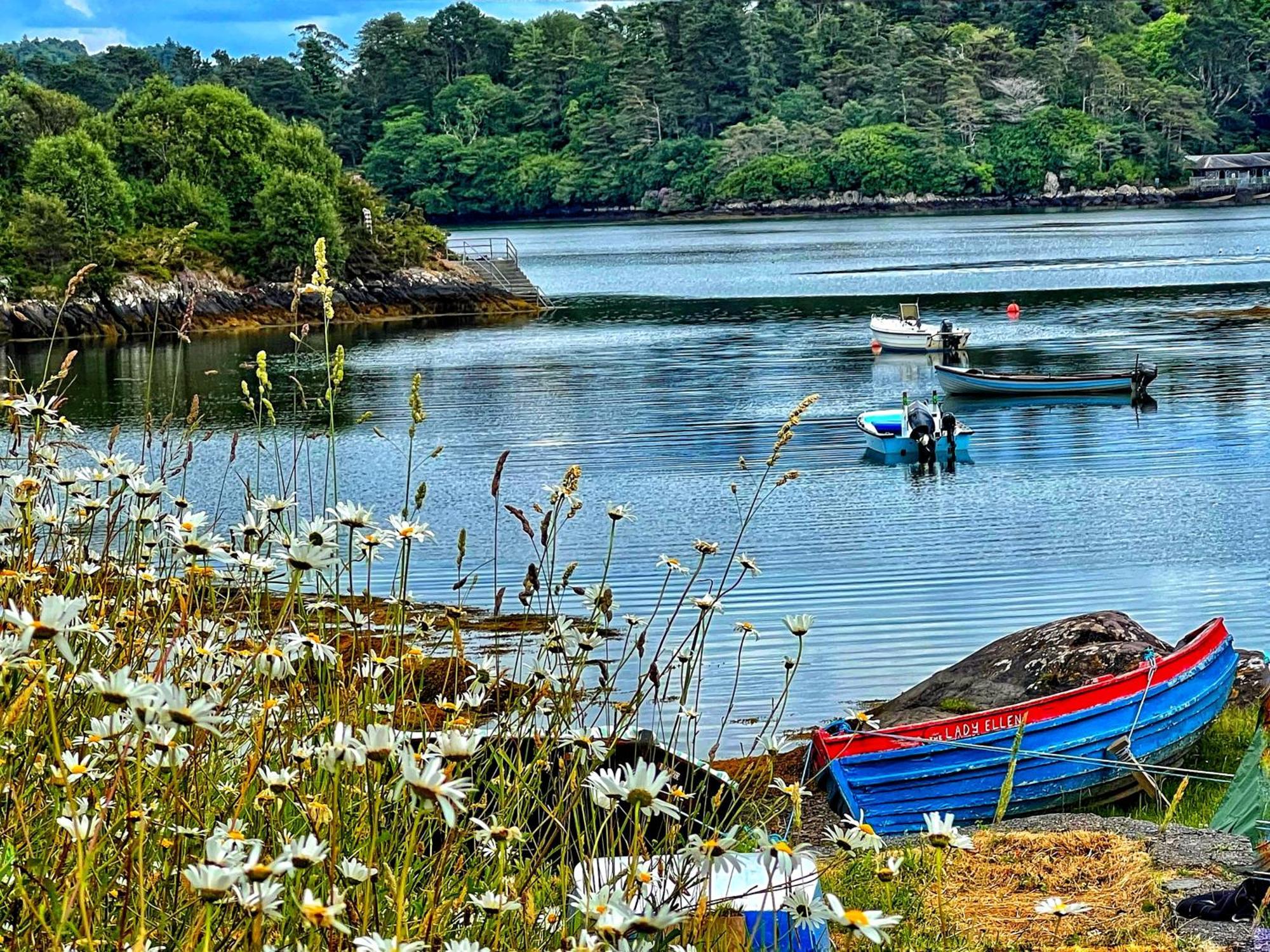 Niblick Bed & Breakfast Bantry Dış mekan fotoğraf